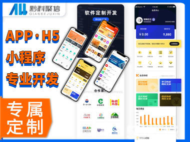 贵州APP开发、小程序开发、软件开发、网站建设、系统开发、软件定制开发